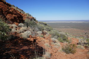 Mount Augustus view.