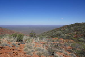 Mount Augustus view.