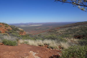 Mount Augustus view.