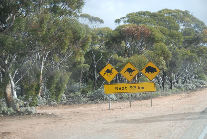 Near the eastern end of the Eyre Highway.