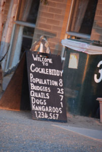 Welcome to Cocklebiddy.