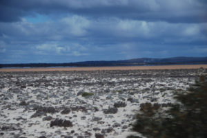 Lake Cowan near Norseman.