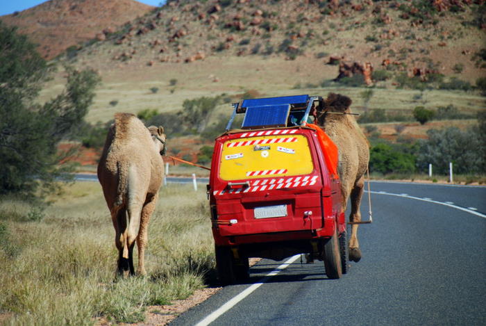 Wanderer on Stuart Highway.