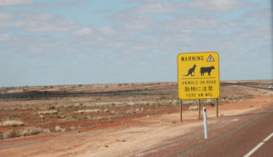 Advice for tourists.