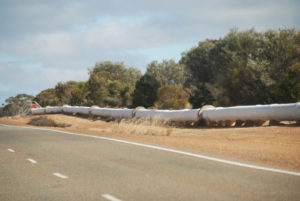Water Pipeline near Southern Cross.