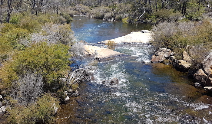 The Collie River, just down river from Wellington Dam.