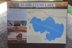 Dumbleyung Lake graphic