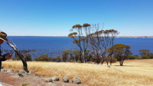 View of the course on Lake Dumbleyung from Lookout.