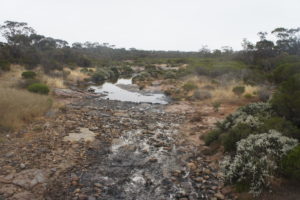 Fitzgerald River