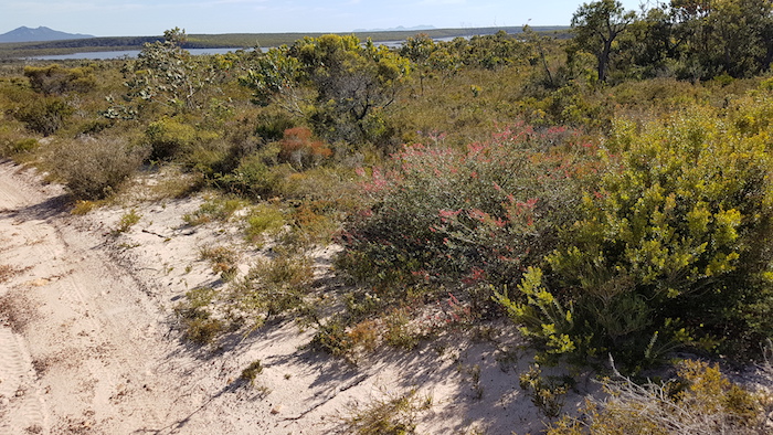 Gairdner Road along Gordon Inlet.