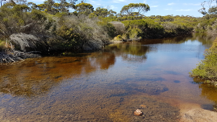 Hamersley River