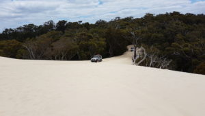John and Steven in the Sierra attempt the path to the top of Yeagarup Dunes.