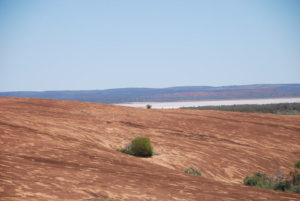 Lake Moore behind Billgaburna.