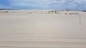 On the designated track though the dunes.