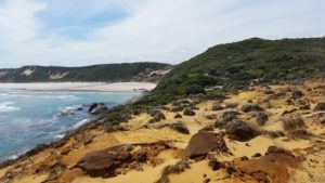 Mandalay Beach Walpole, Shannon National Park.