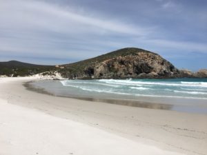 On Quoin Head beach.