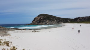 On Quoin Head beach.