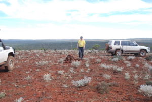 Rob inspecting a cairn.