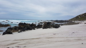 Rocks at end of Hamersley Beach.