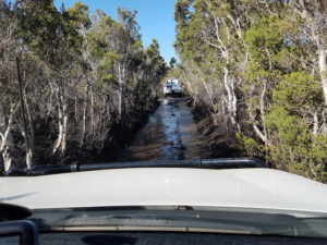 Track into Gordon Inlet.