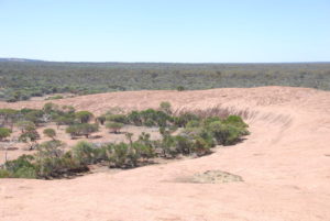 Like an Amphitheatre.