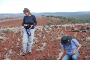 On Billgaburna Rock.