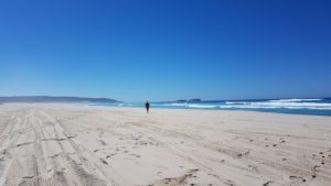Reef Beach