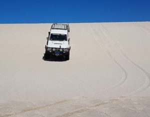 Mushy in his Troopy.