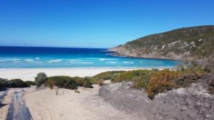 Rubber belting leading onto Foster Beach.