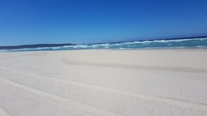 Foster Beach