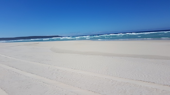 Foster Beach
