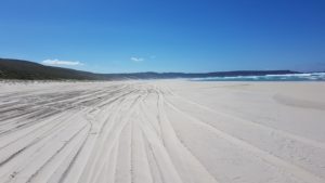 Foster Beach