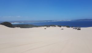Moving off the dunes.