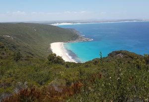 Stream Beach from above.