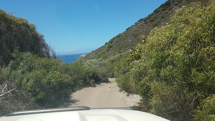 On the track into Stream Beach.