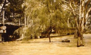 Just upriver from Mungindi.