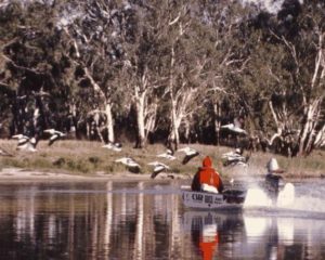 Birdlife is prolific on the lower Murray.