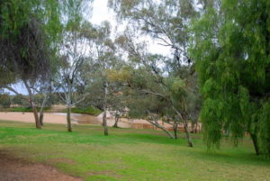 Alice Springs
