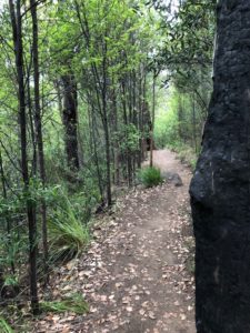 Along the track to the top of Castle Rock.