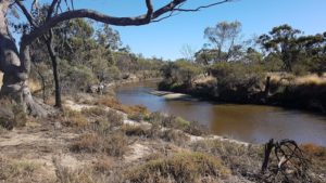 Boyagarra Pool on the upper Avon River.
