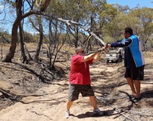 Couple of heavyweights attack a dead branch that is in the way.