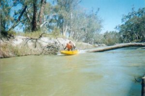 Kevin and John over log in the Lindsay River.