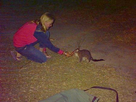 Leah feeds a possum.