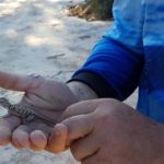 Matt with a gecko at Kwolyin.