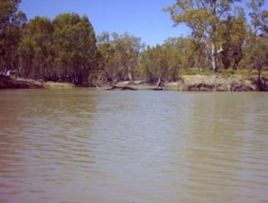 Mullaroo Creek as seen from the Murray River.