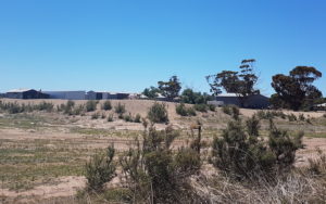 A model of an elephant has been placed on a dam at this property on Bilericay Road, Bendering.