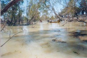 Punkah Creek