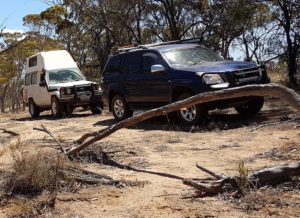 Steve's camper and Santokh's Prado.