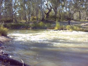 Stony Crossing on Mullaroo Creek.
