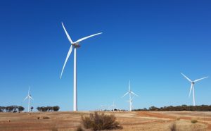 Some of the 111 wind generators at the Collgar Windfarm, Merredin.